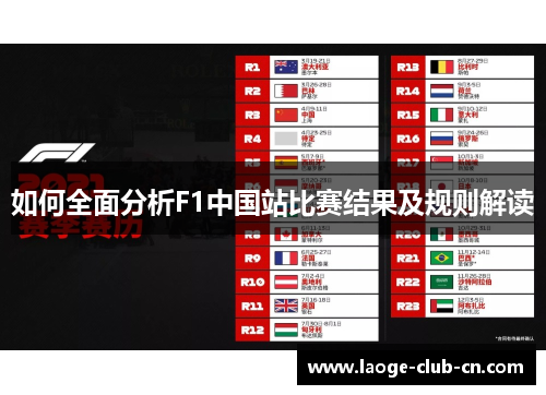 如何全面分析F1中国站比赛结果及规则解读