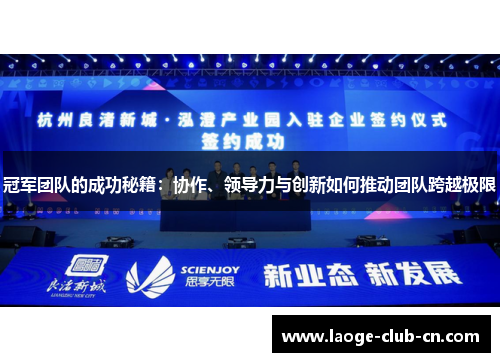 冠军团队的成功秘籍：协作、领导力与创新如何推动团队跨越极限