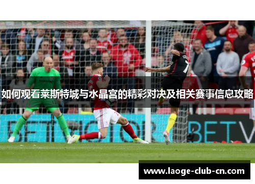 如何观看莱斯特城与水晶宫的精彩对决及相关赛事信息攻略
