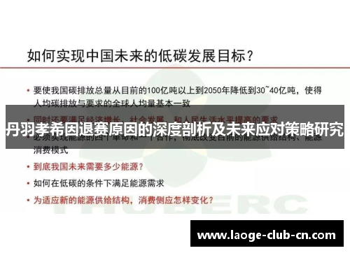 丹羽孝希因退赛原因的深度剖析及未来应对策略研究