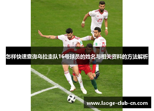 怎样快速查询乌拉圭队16号球员的姓名与相关资料的方法解析