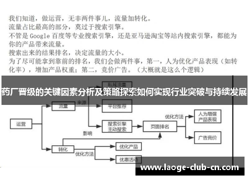 药厂晋级的关键因素分析及策略探索如何实现行业突破与持续发展