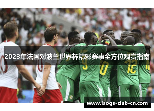 2023年法国对波兰世界杯精彩赛事全方位观赏指南